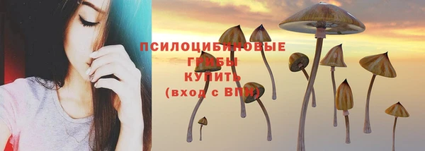 Альфа ПВП Вязники
