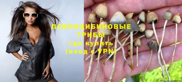a pvp Вязьма