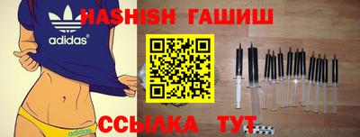 хмурый Сланцы