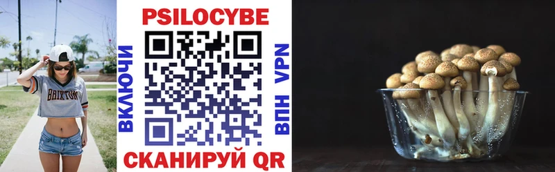 Псилоцибиновые грибы Cubensis  Ноябрьск 