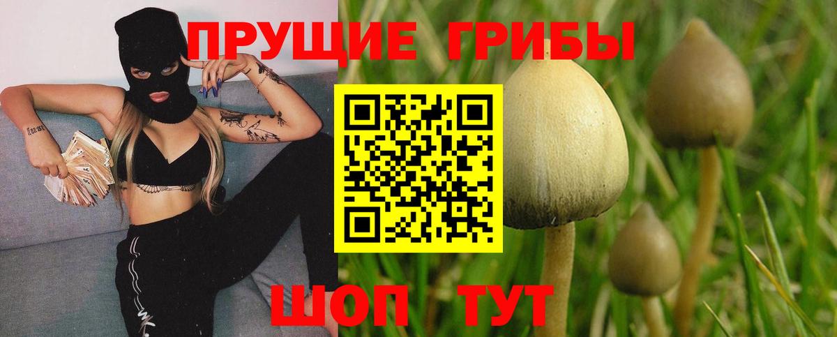 Ноябрьск  Галлюциногенные грибы прущие грибы  Вход с VPN 
